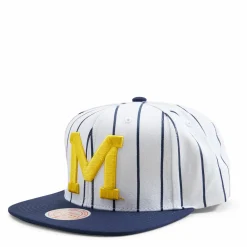 Michigan Newco Snapback