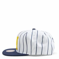 Michigan Newco Snapback