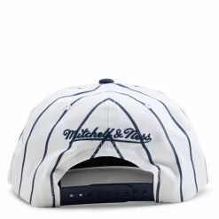 Michigan Newco Snapback
