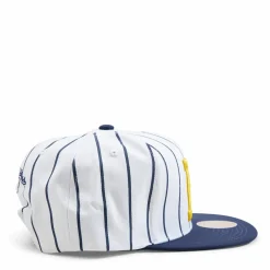 Michigan Newco Snapback