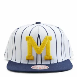 Michigan Newco Snapback