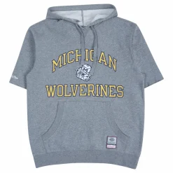 Michigan Short Sleeve Fleece Hoodie