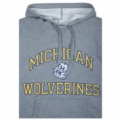Michigan Short Sleeve Fleece Hoodie