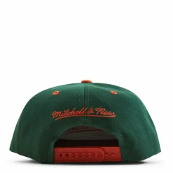 Monument Snapback
