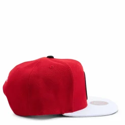 Nets Cardinal 2 Tone Snapback