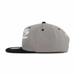 Nets Transcript Snapback