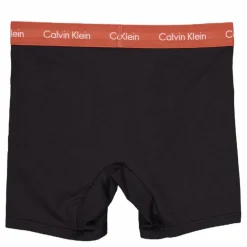 3p Boxer Brief Q41 B- Rock Ridge, Fudge, Bruc