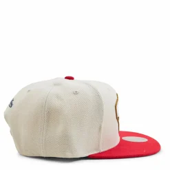 Pelicans Core Basics Snapback