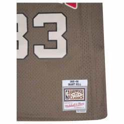 Pistons Astro Swingman Jersey - Grant Hill
