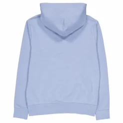 Polo Ralph Lauren Loopback Terry Hoodie Channel