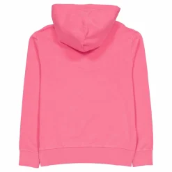 Polo Ralph Lauren Loopback Terry Hoodie