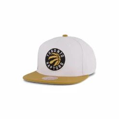 Raptors Side Core 2.0 Snapback