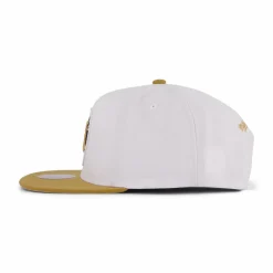 Raptors Side Core 2.0 Snapback
