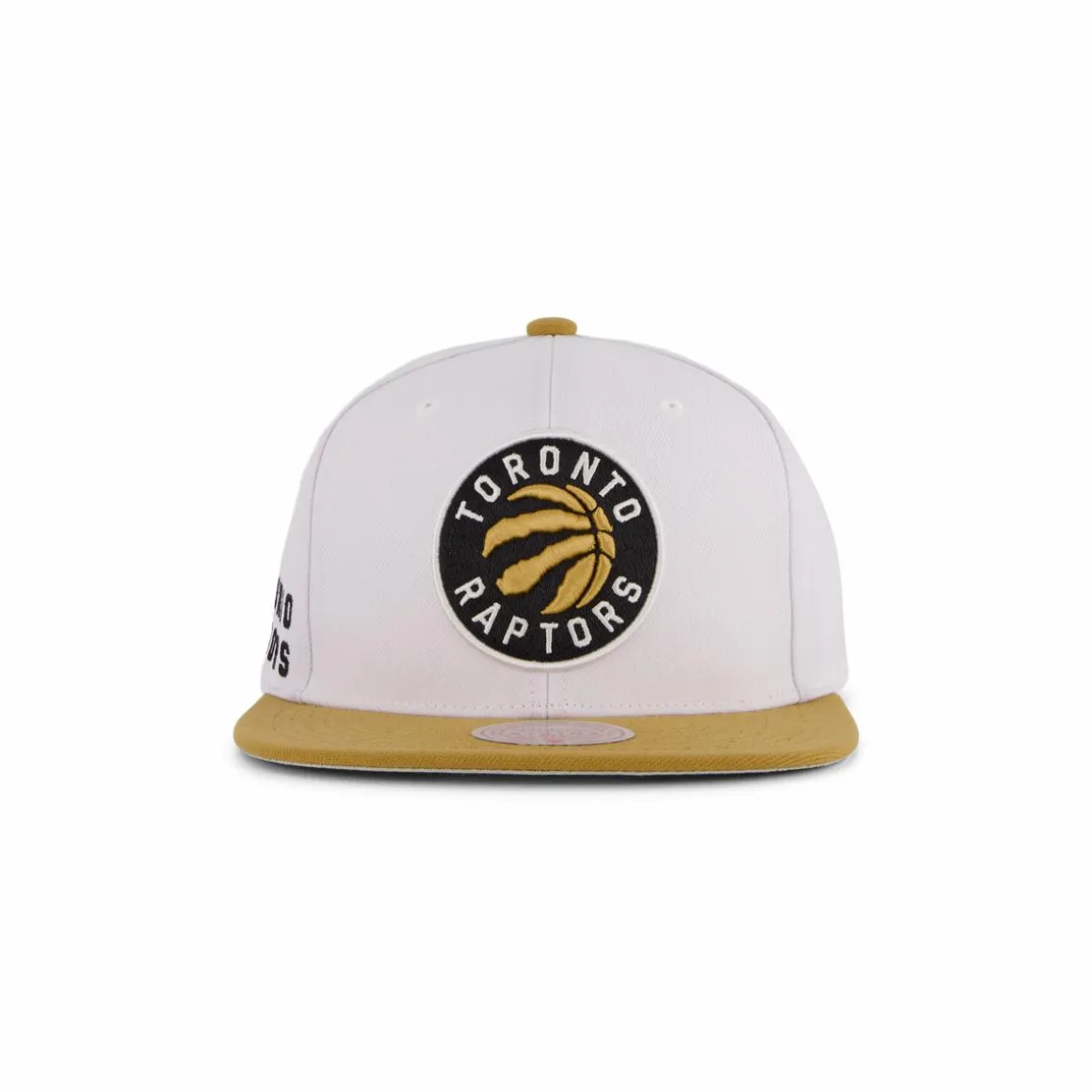 Raptors Side Core 2.0 Snapback