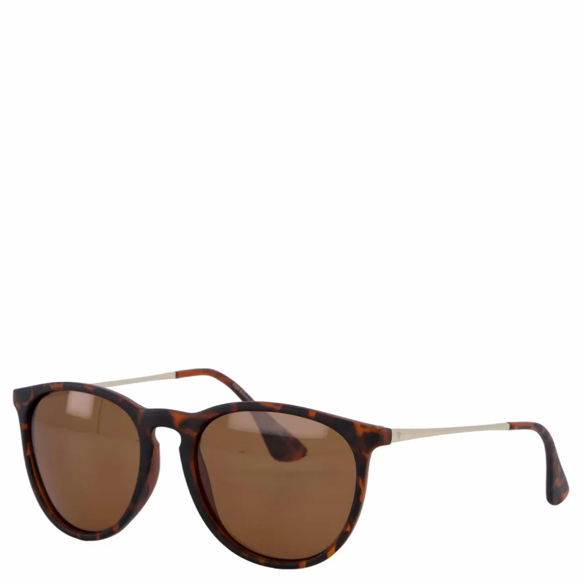 Roma Turtle Brown / Brown