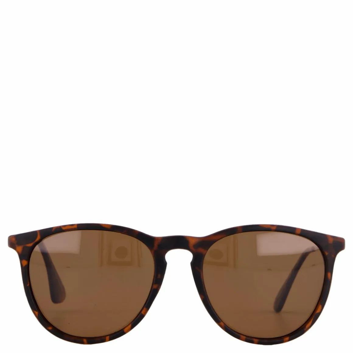 Roma Turtle Brown / Brown