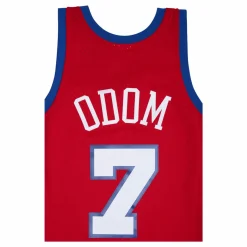 Swingman Jersey -Lamar Odom