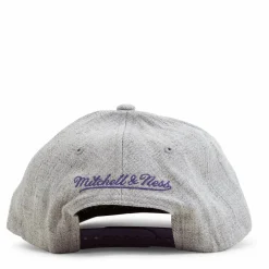 Team 2.0 Stretch Snapback