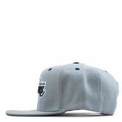 The District Snapback