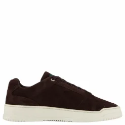 The Open Era 800 Brown
