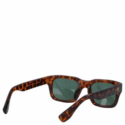 Tone Turtle Brown