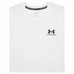 UA Logo Embroidered Heavyweight Short Sleeve