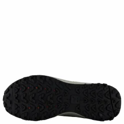 Veja X Etudes Etudes Shark