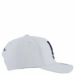 Wolverines All In Pro Snapback