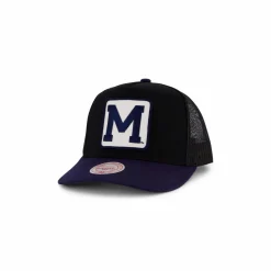 Wolverines Truck It Trucker
