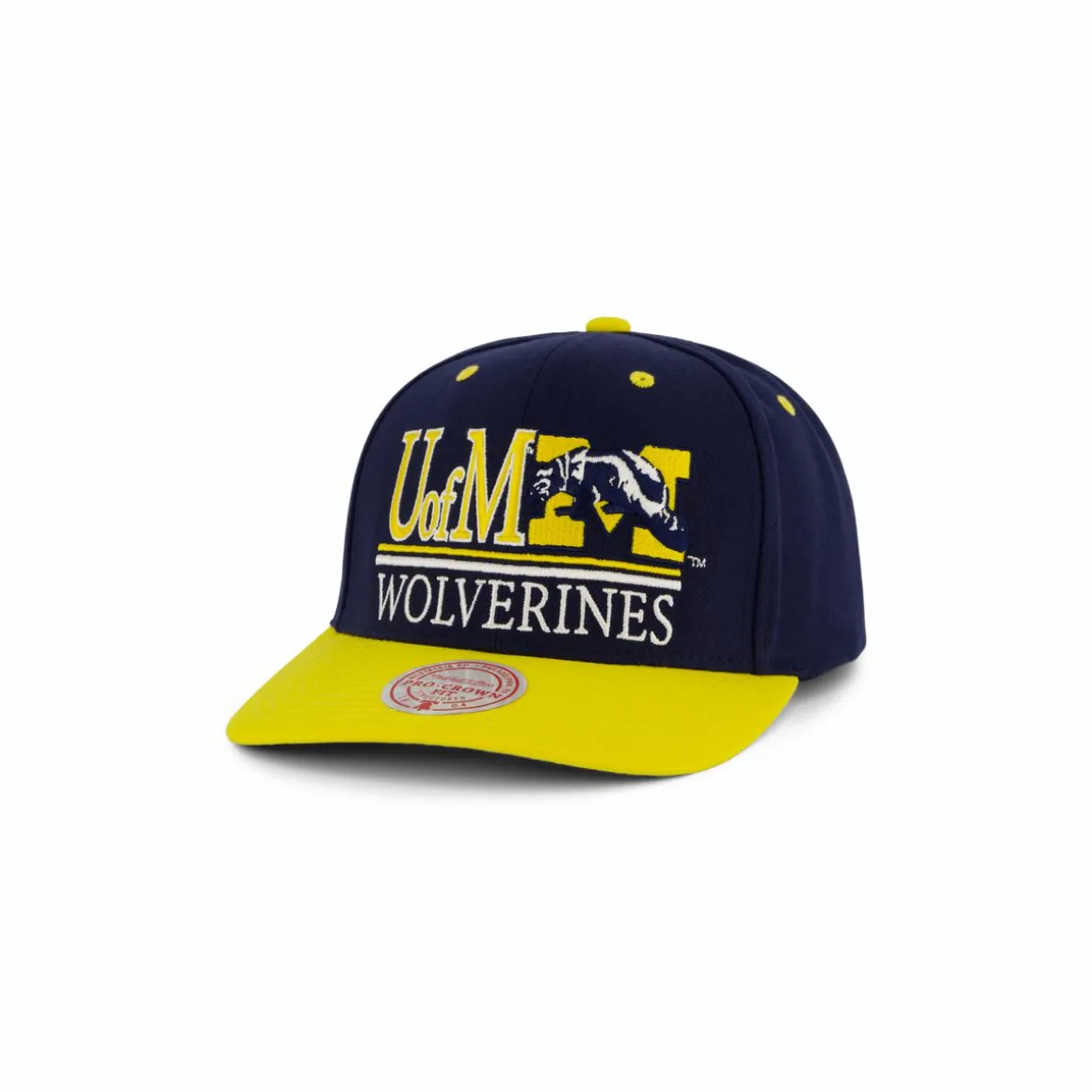Wolwerines GPA Snapback