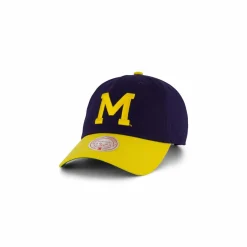 Wolwerines Team 2 Tone 2.0 Dad Strapback
