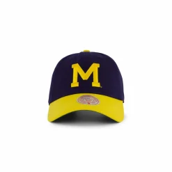 Wolwerines Team 2 Tone 2.0 Dad Strapback